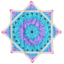 Load image into Gallery viewer, P.81