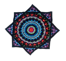 Load image into Gallery viewer, P.26