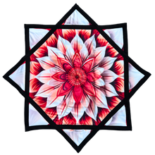 Load image into Gallery viewer, P.120