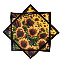 Load image into Gallery viewer, P.10