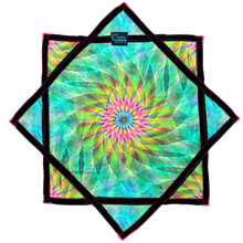 Load image into Gallery viewer, P.159