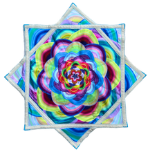 Load image into Gallery viewer, P.111