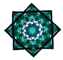 Load image into Gallery viewer, P.149