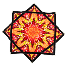 Load image into Gallery viewer, New New
