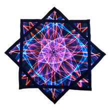 Load image into Gallery viewer, P.54
