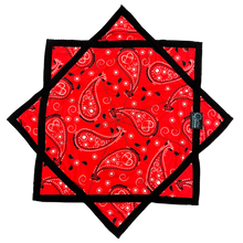 Load image into Gallery viewer, Paisley Pop
