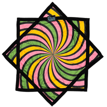 Load image into Gallery viewer, *Wildflower Whirl

