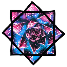 Load image into Gallery viewer, Astral Aloe
