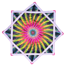 Load image into Gallery viewer, P.78
